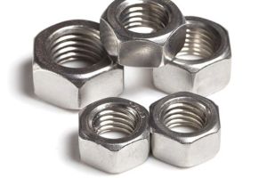 Stainless Steel Nuts