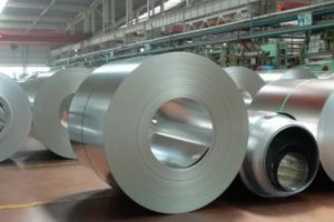 Hastelloy Coils