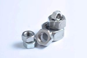 Hastelloy Nuts