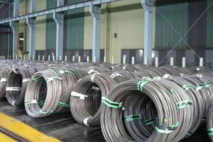 Duplex Wire
