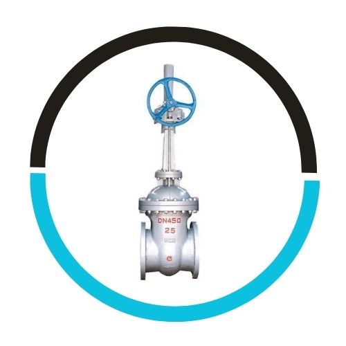 Stainless Steel Regular Gate Valve