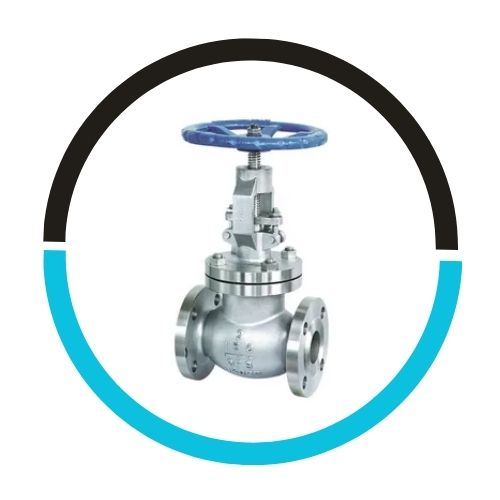 SS 316L Globe Valves in UAE