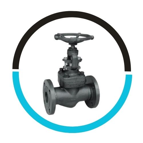 Stainless Steel Angle Globe Valve in UAE