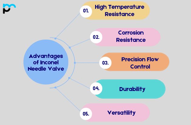 Advantages of Inconel Needle Valve