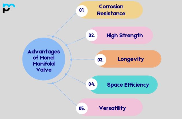 Advantages of Monel Manifold Valve